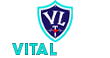 Vital Link Transportation - Non Emergency Medical Transportation